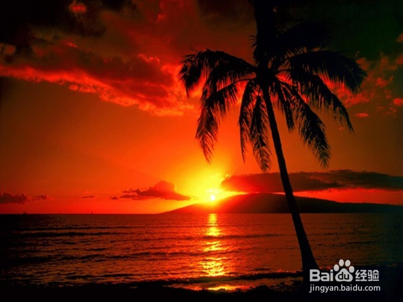 怎样在淘宝上开店?