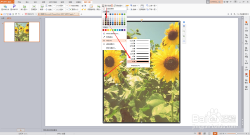 PPT插入图片时给图片加轮廓描边颜色