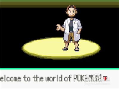 口袋妖怪决心攻略