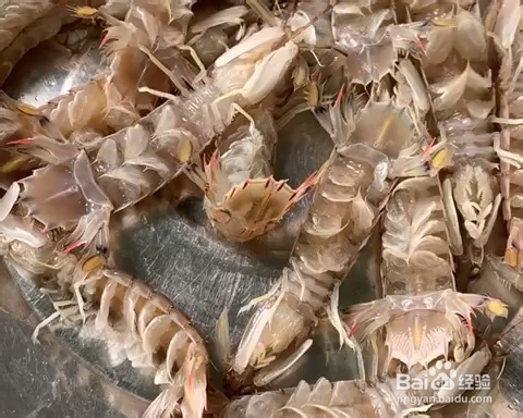 原味白灼皮皮虾