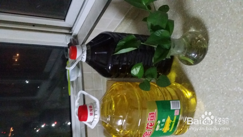 教你如何加油更省钱