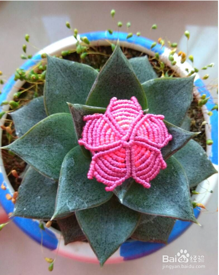 五叶花编织教程图解步骤