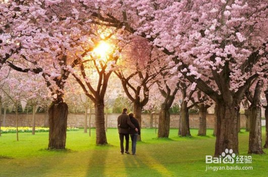 什么样的女人最勾人？如何提升对男人的吸引力？