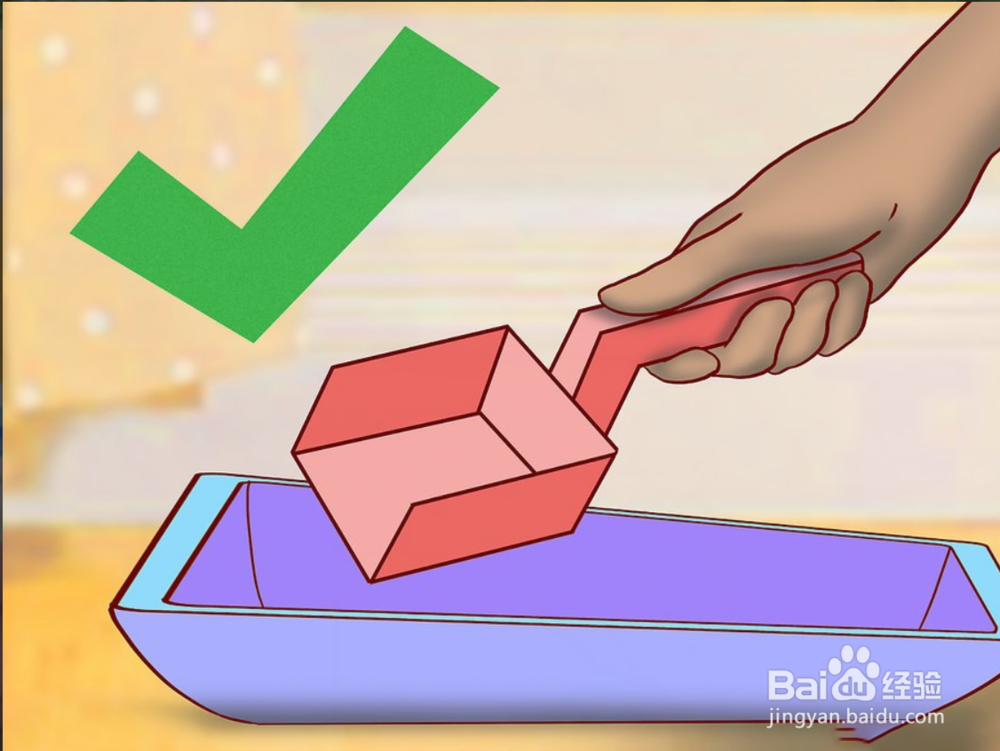 教你如何一只小猫开始养和注意事项有哪些?