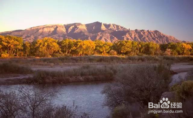 美国租车去哪玩?美国租车最强景点攻略!