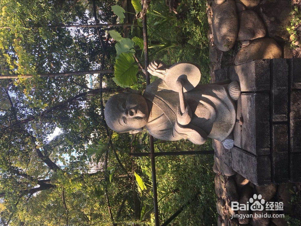 福州温泉公园花灯游