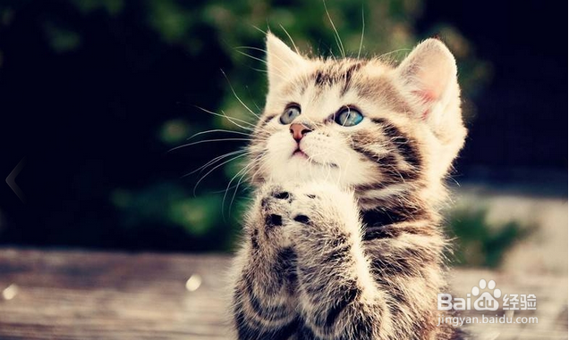 心情低落的时候怎么办?