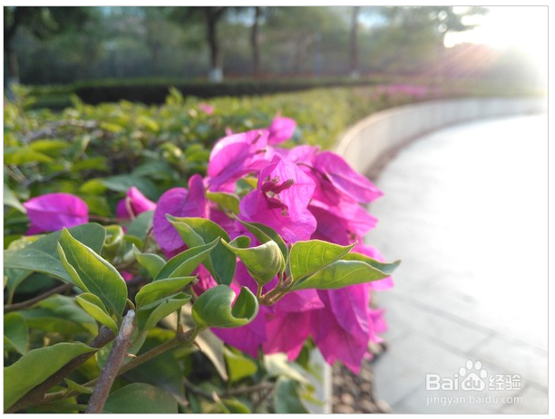 中兴星星2号怎么样