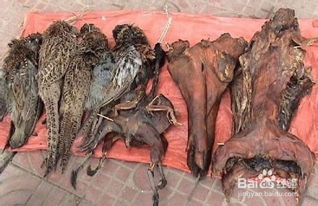 张家界市区住宿