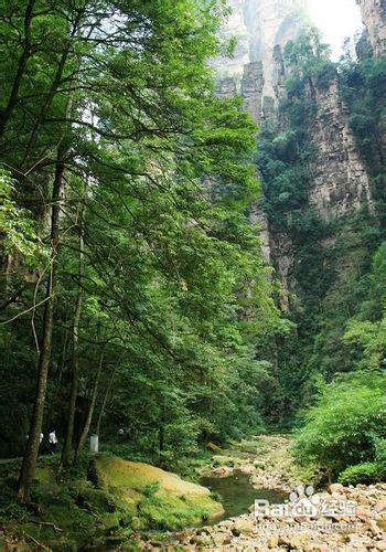 广州到张家界旅游线路