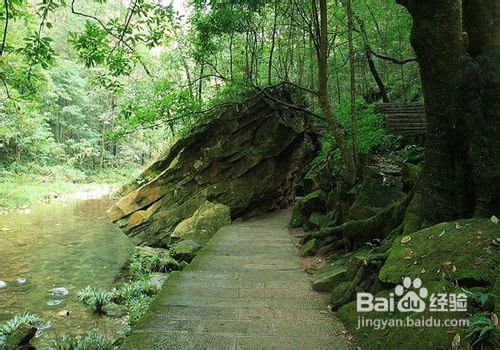 张家界到凤凰旅游攻略