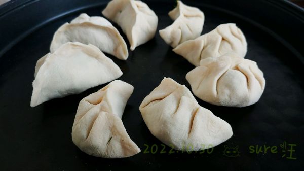 茴香肉酱水煎饺