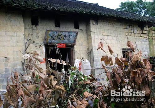 长沙去张家界旅游