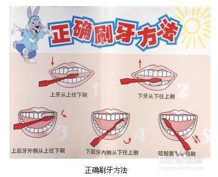 最新刷牙的正确方法