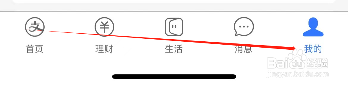 支付宝怎样查看皮肤中心