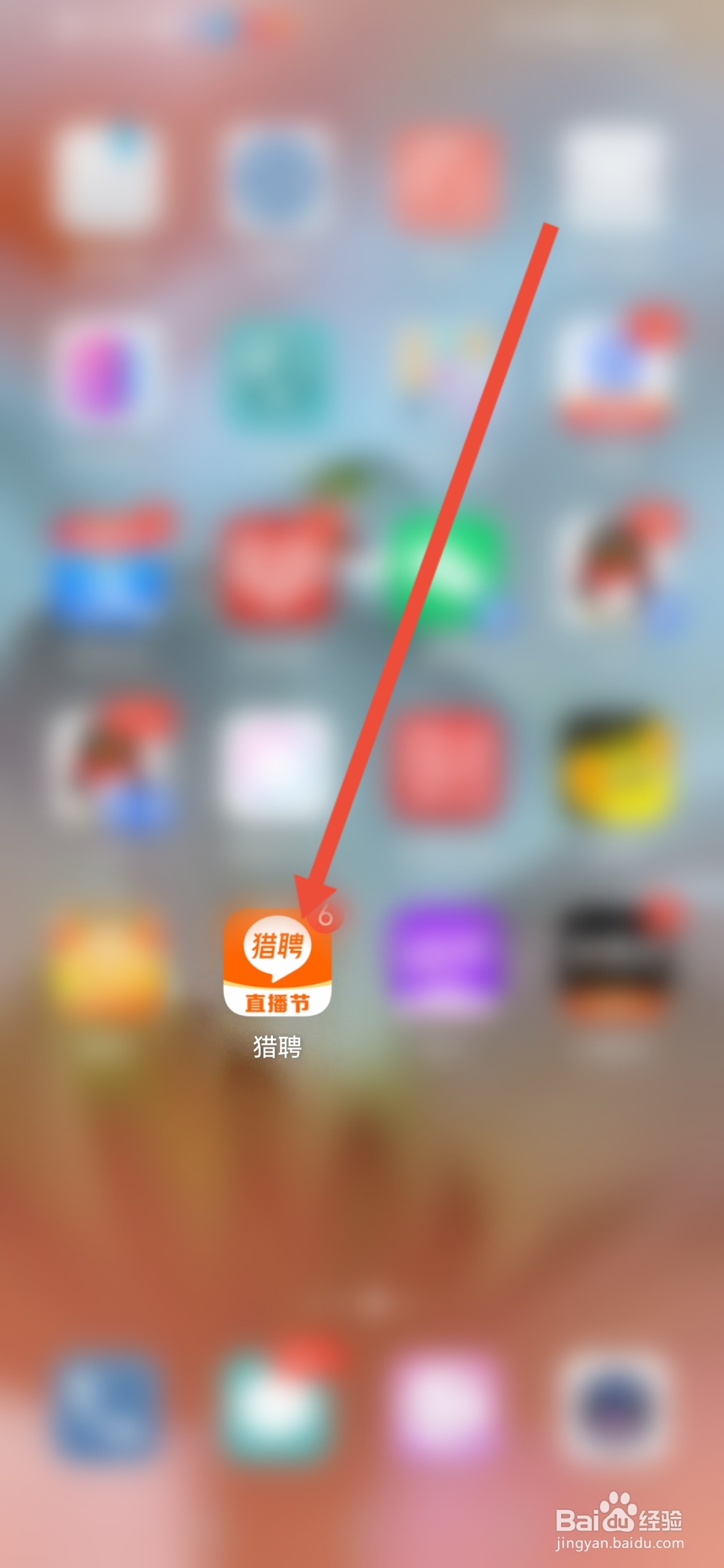 猎聘，求职指南在哪里查看