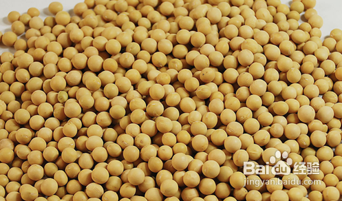 花生红枣黄豆汤也能丰胸？