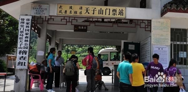 上海到张家界自助游