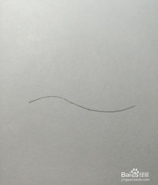 简笔画画珍珠蚌