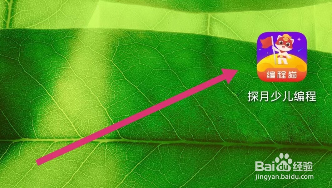 探月少儿编程APP如何进入测评中心？