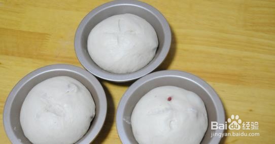 如何制作莜面蔓越莓欧？