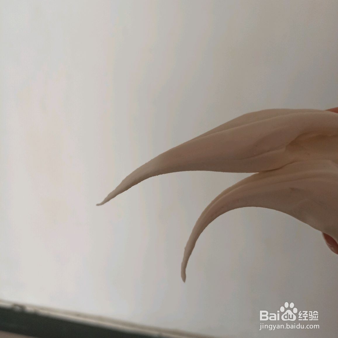 虎纹汤圆怎么做