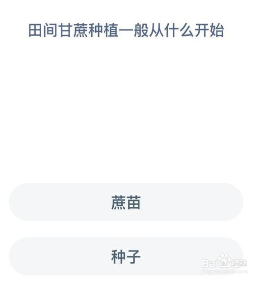 田间甘蔗种植一般从什么开始蚂蚁新村答案