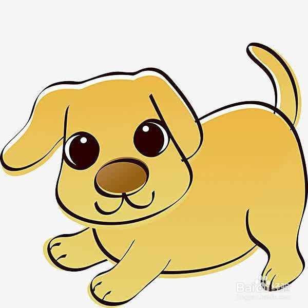 萨摩耶发烧了怎么办