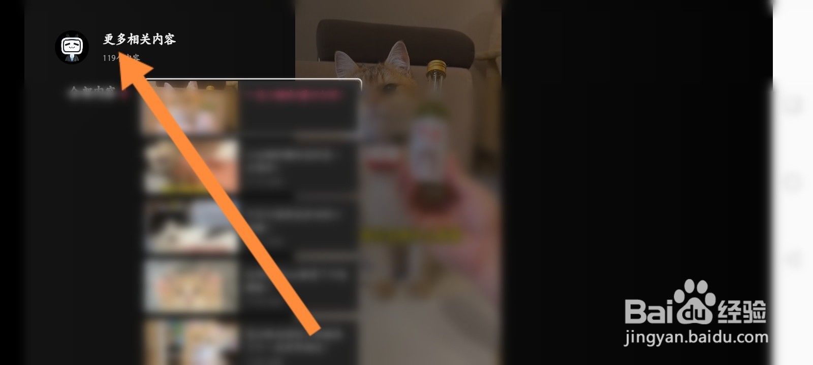 云视听小电视怎么关注up主