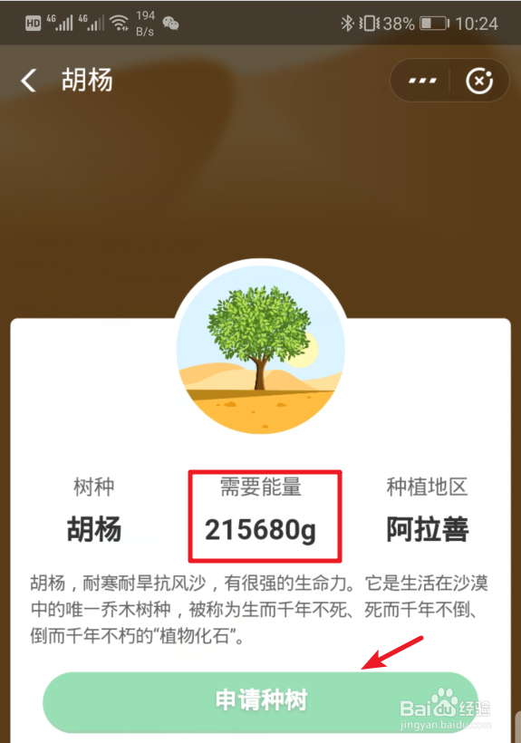 蚂蚁森林里需要能量最多的树种是什么?