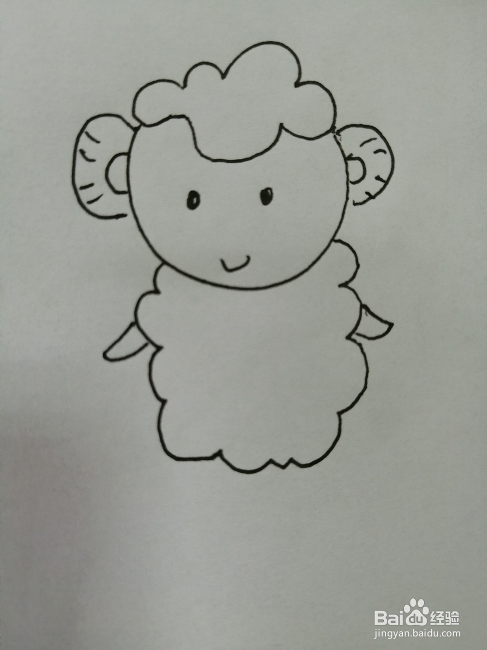 可爱的小绵羊怎么画
