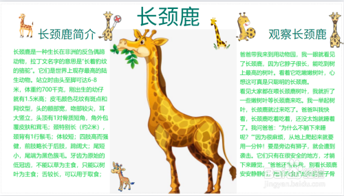 长颈鹿手抄报