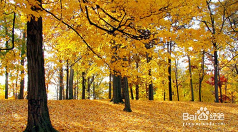 冬天骑车必备品