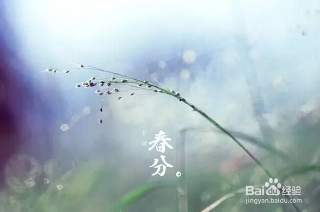 春分时节到,养生该从衣食住行做起