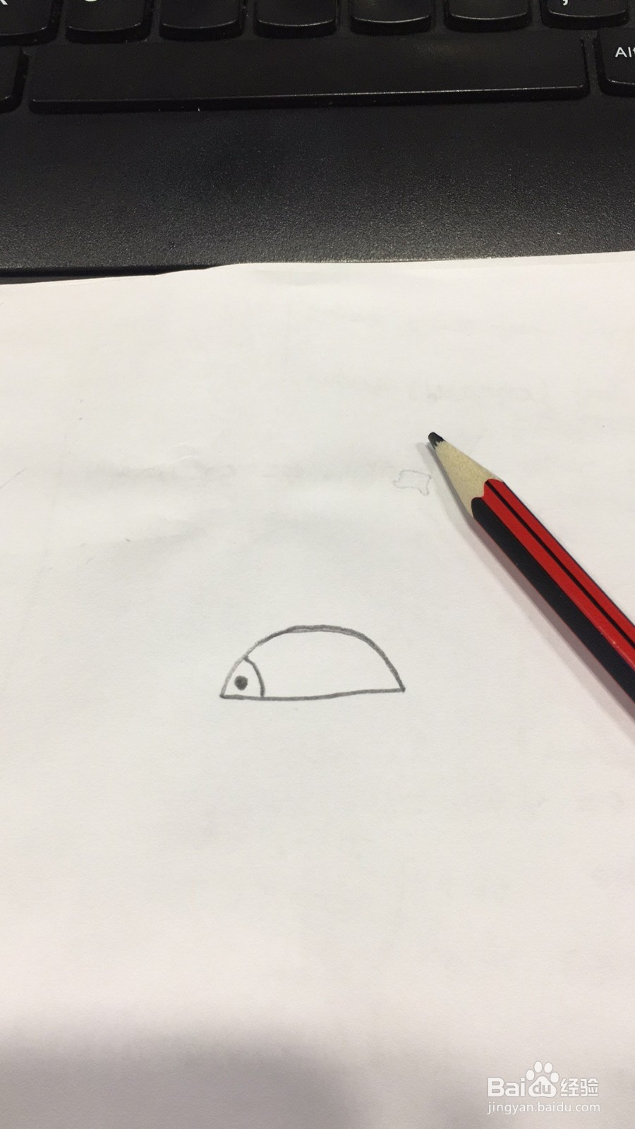 可爱刺猬的简笔画画法