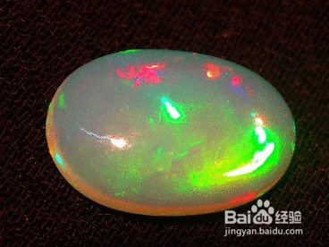 告诉你佰澳朗德的故乡澳洲有哪些“土特产”!