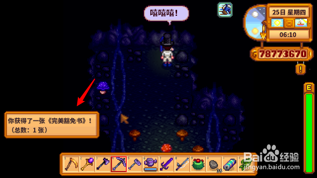 星露谷物语完美豁免书怎么获得