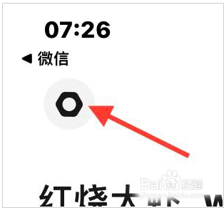 懒饭如何设置视频播放默认静音