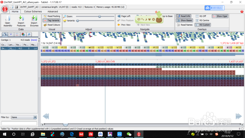 DNA重测序序列sam格式如何分析