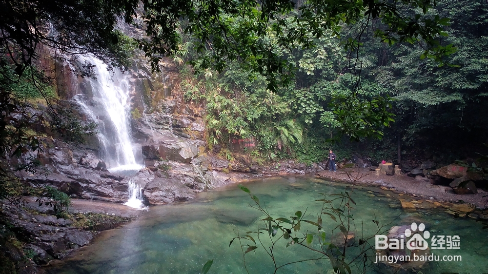 肇庆鼎湖山游记