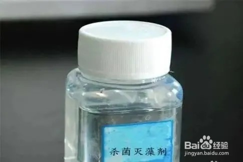 鱼缸壁上的绿藻怎么去除