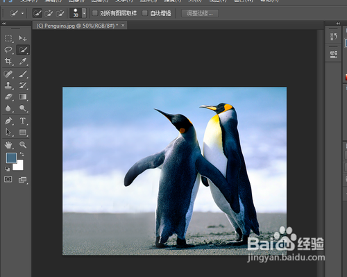 photoshop基础教程之去掉图片中的某一物体