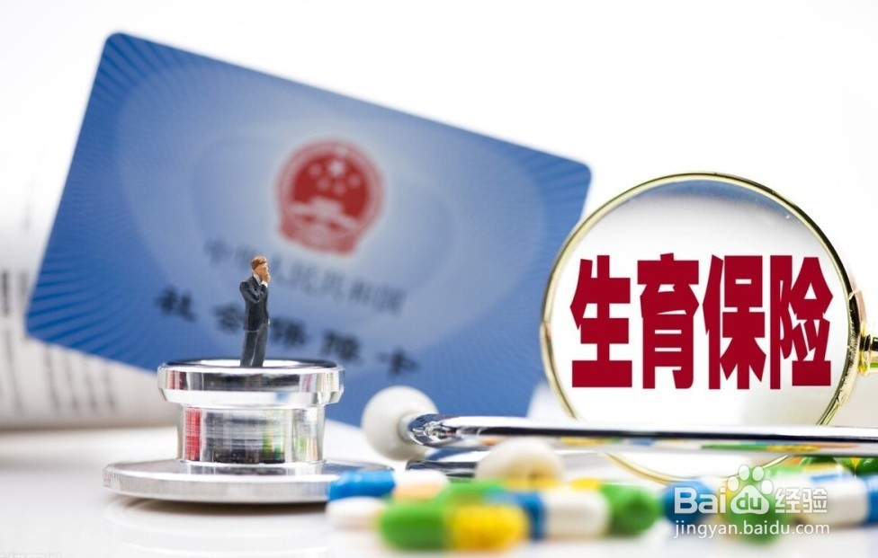 生育保险怎么查询