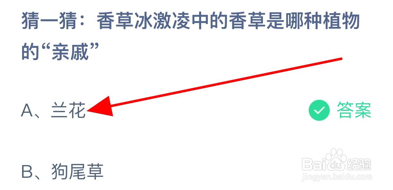 蚂蚁庄园答案香草冰激凌中的香草是哪种植物亲戚