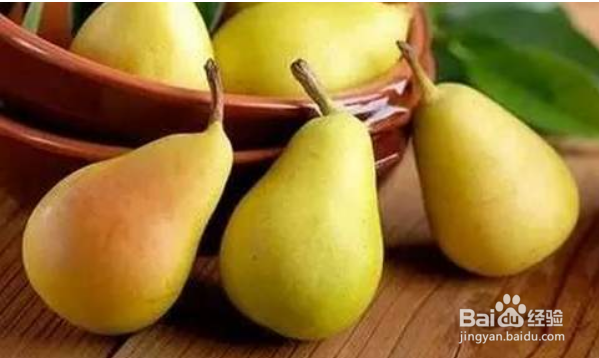 寒性食物一览表