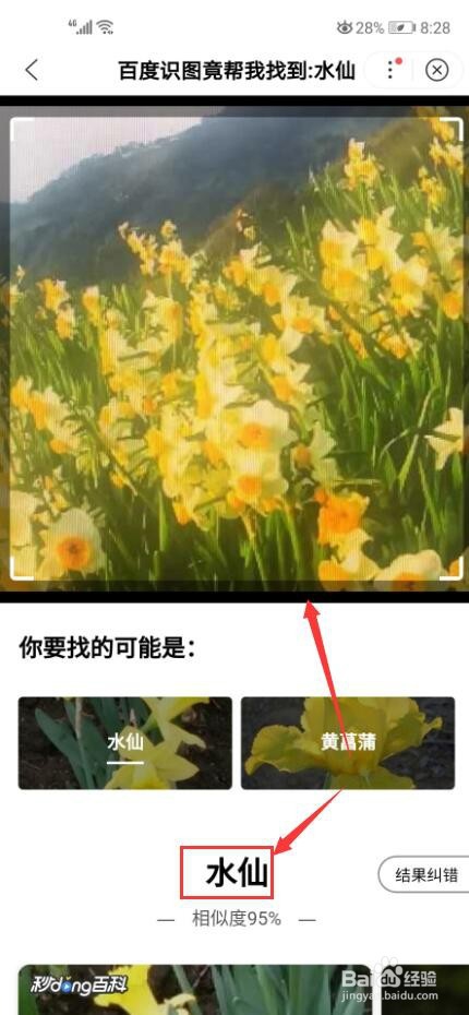 什么软件可以拍照识花？