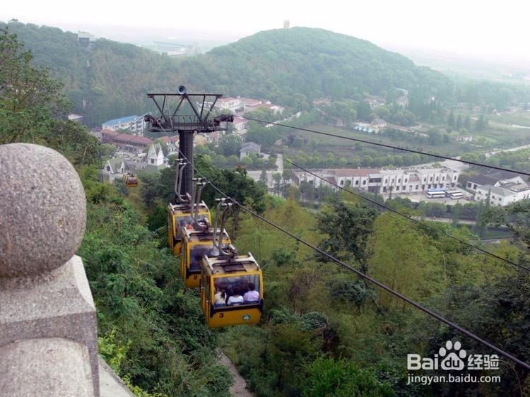 佘山森林百鸟苑旅游攻略