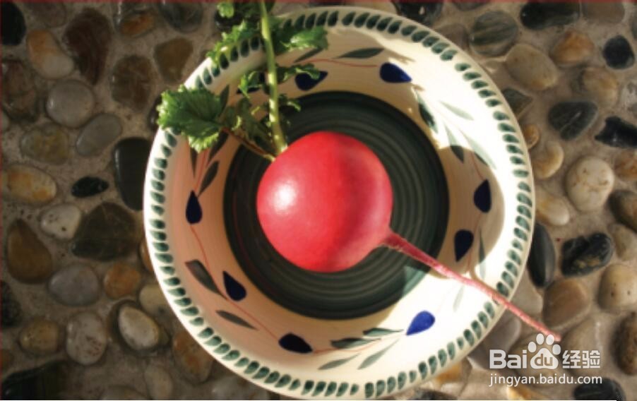 东北雌性红萝卜治痛风偏方