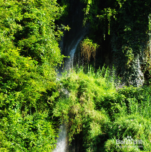 怎么样在《我的世界》里成为胜利者