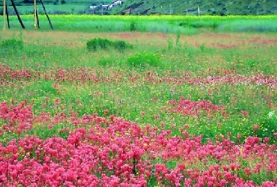 香格里拉初冬旅游指南